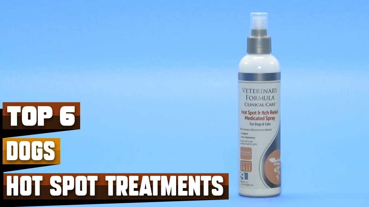 Best Hot Spot Treatments for Dogs in 2026 (Top 10 Picks)