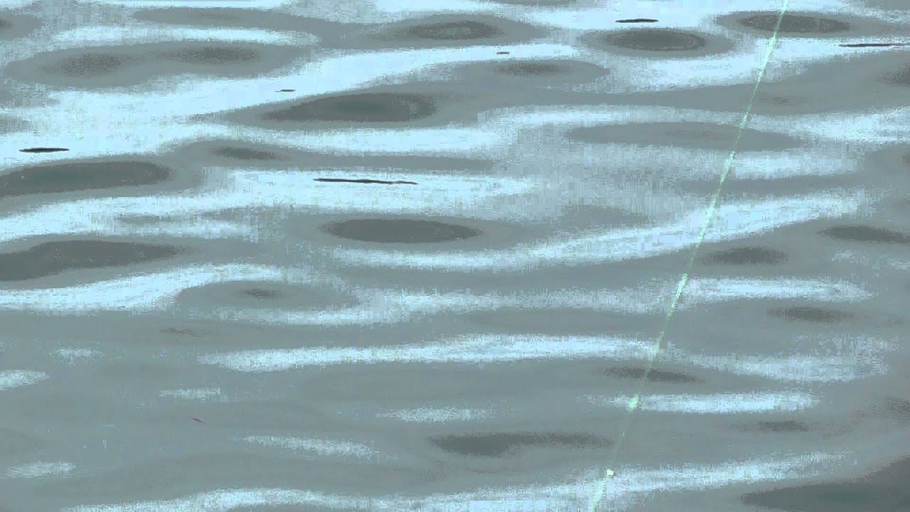 ウキの動きを見てアタリを判断する　ふかせ完全誘導スルスル釣り　和歌山釣太郎