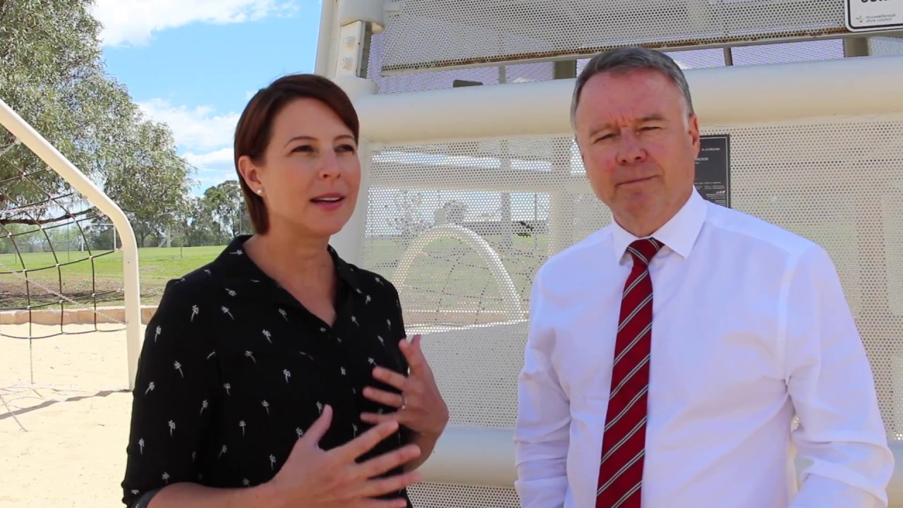 Muswellbrook Highbrook Park's 'Larry the Lizard' wins new playground