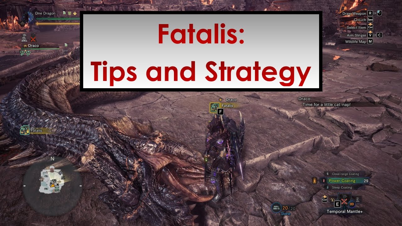 Strategies and Tips for hunting Fatalis!