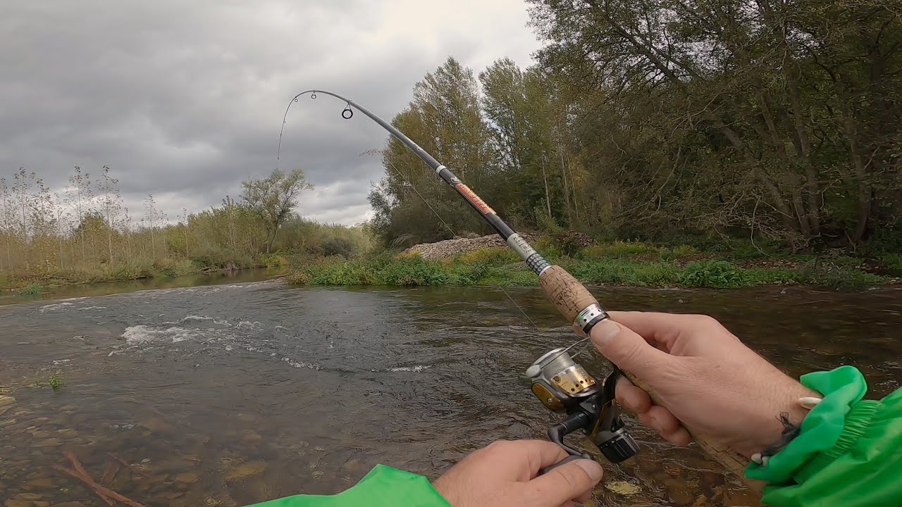 Exploraci&oacute;n y Pesca en la Jungla T&ordf; Pesca 2020
