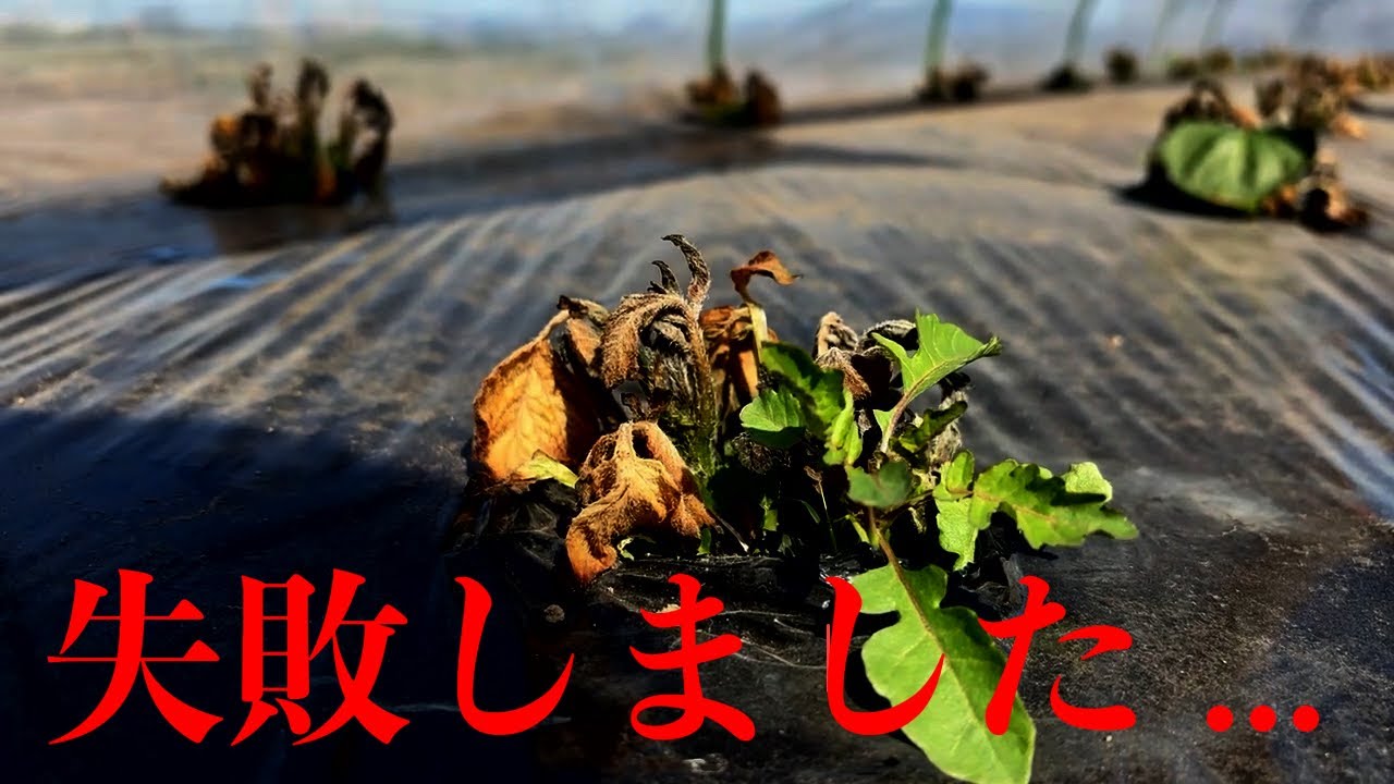 失敗しました。勉強になりました。