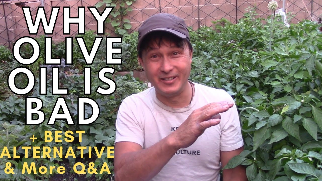 Why I Don't Consume Olive Oil & What I Eat Instead + More Raw Q&A