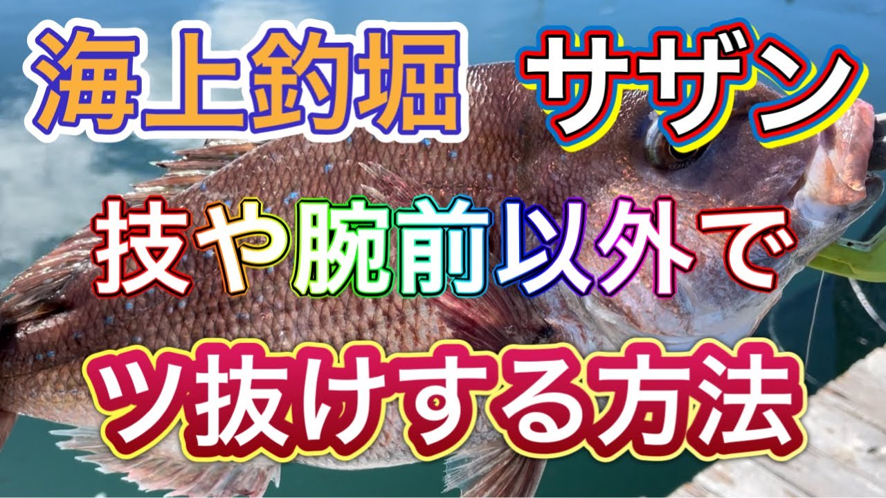 「海上釣堀」技や腕前以外でツ抜けする方法「サザン」