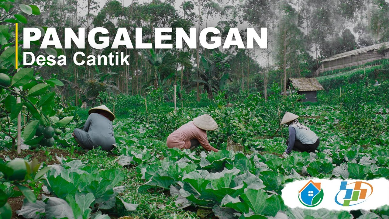 Membangun Desa Pangalengan Cantik (Cinta Statistik)