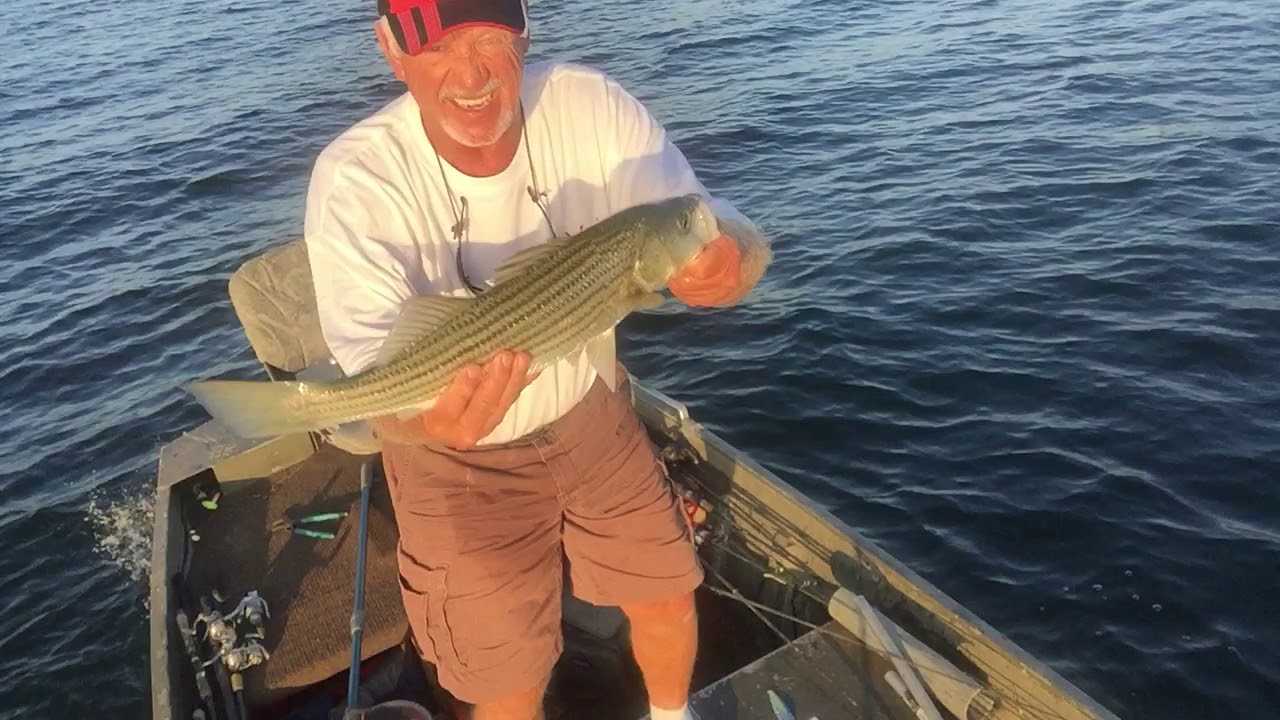 Striper Fishing And Talking Facts On Lake Murray