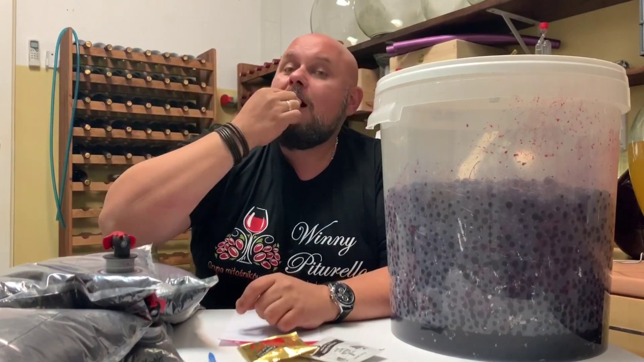 Winny Piturello Vlog #10 - Wino z czarnej porzeczki w miazdze i moszczu - porównanie cz1