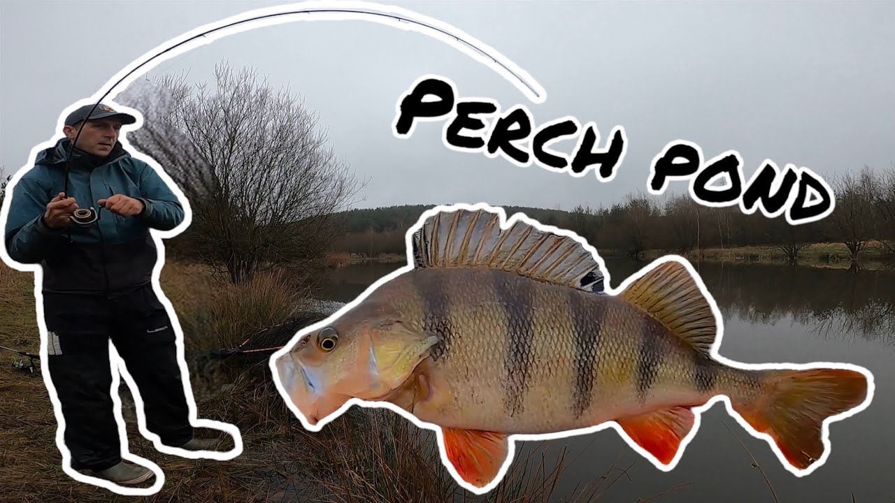 I just HAD to go back to this little PERCH pond!