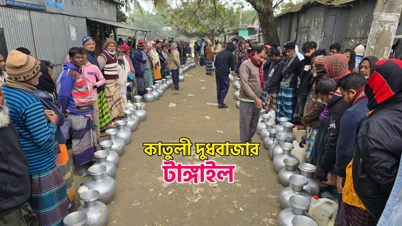 সুশৃংখল কাতুলী দুধ বাজার টাঙ্গাইল। 