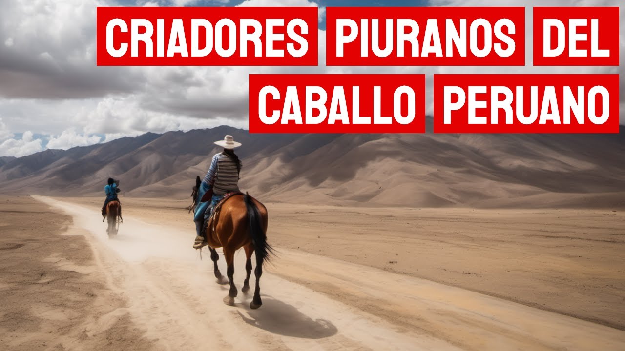 ¿Cómo se cría un caballo en Piura? El Caballo del Perú parte 2