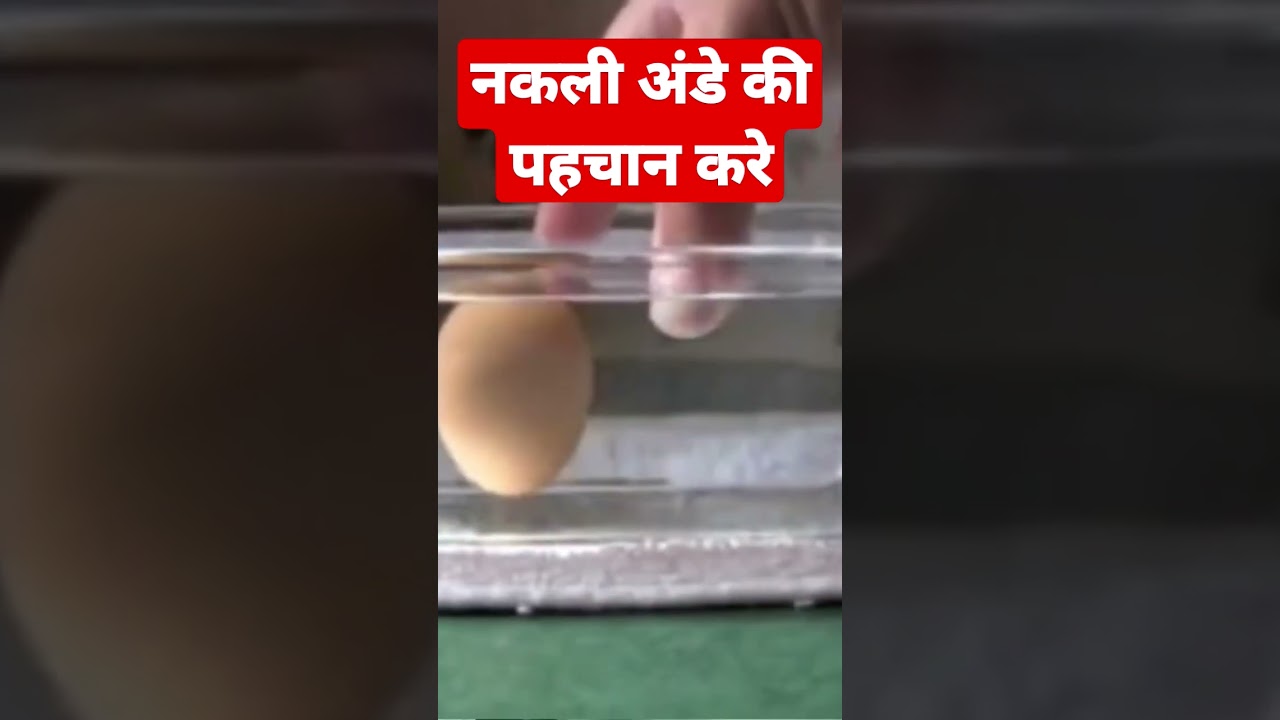 plastic Egg | Nakli ande ki pahchan kare #shorts