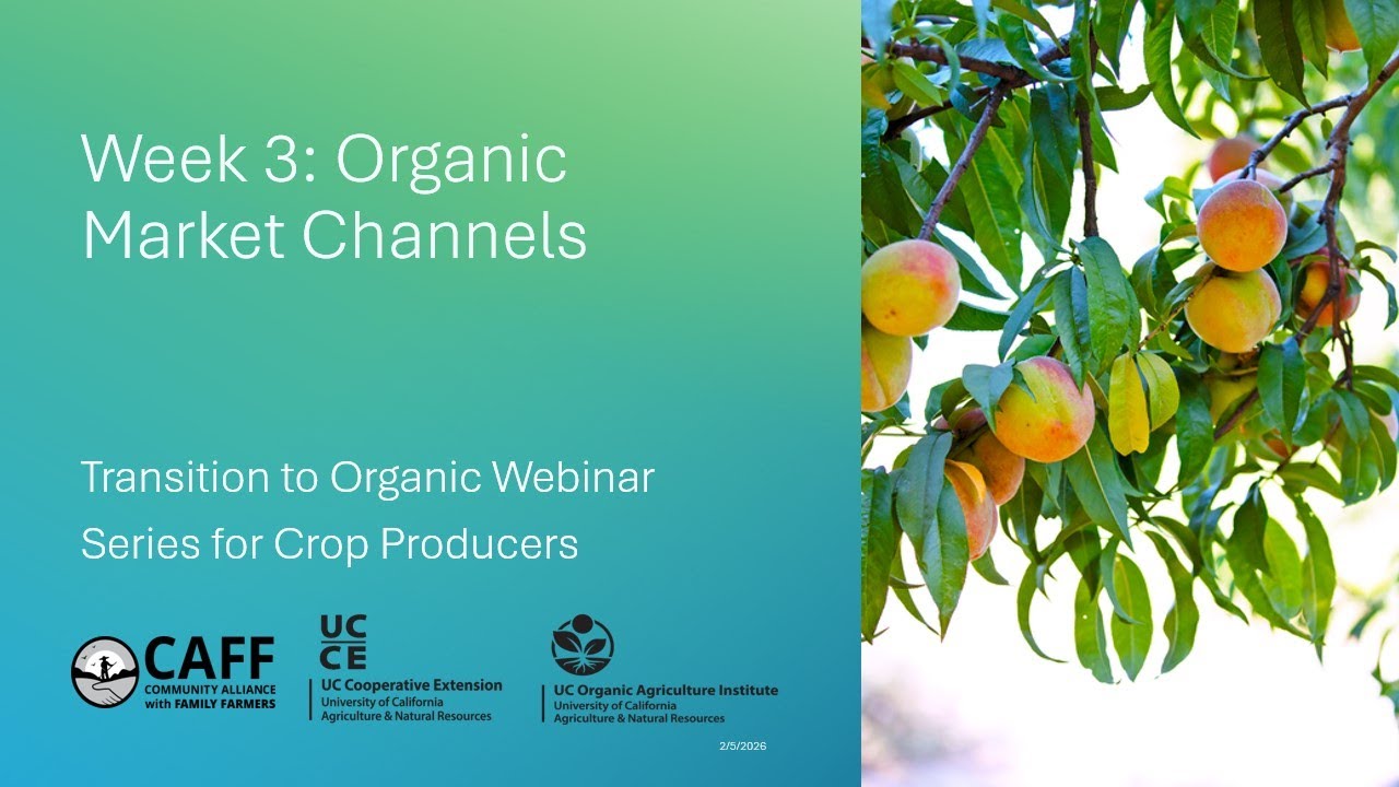 3. Buyer Perspectives on Organic Market Channels: Transition to Organic Webinar Series - Crops