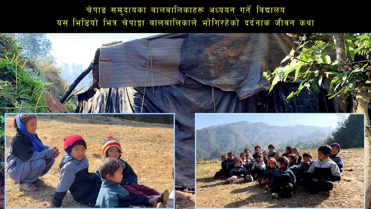 धादिङका चेपाङ बालबालिका : पीडाको छायाँ र आशाको किरण | Mangalodaya Srijansil Samaj