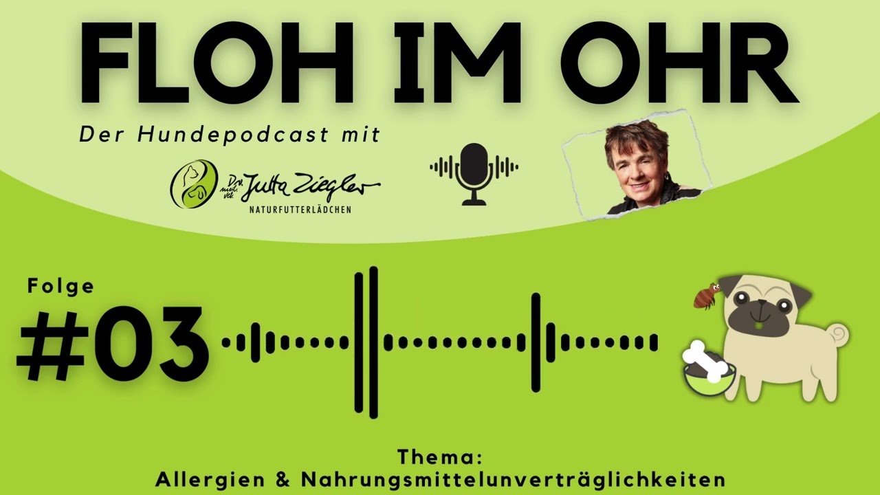 #003 | Allergien & Futtermittelunverträglichkeiten mit Tierärztin Dr. Jutta Ziegler