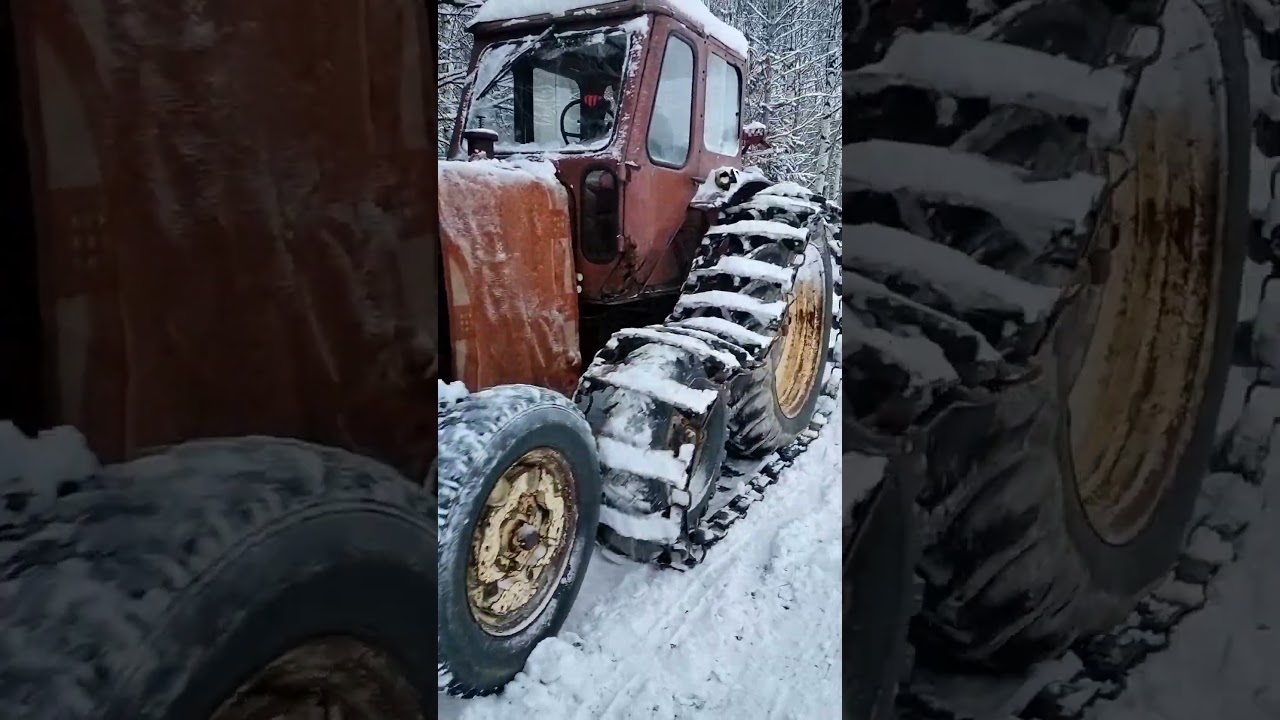 Belarus mtz-50 ❄️ #belarustractor #tracteur #ciągnik #трактор #traktorius #traktors #&tau;&rho;&alpha;&kappa;&tau;έ&rho; #mtz50
