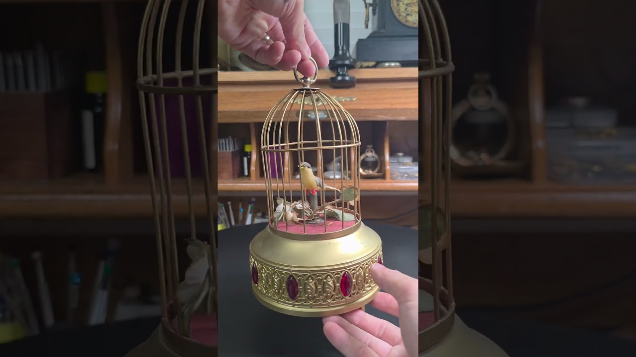 Love to hear this Singing Bird Sound all the time🥰