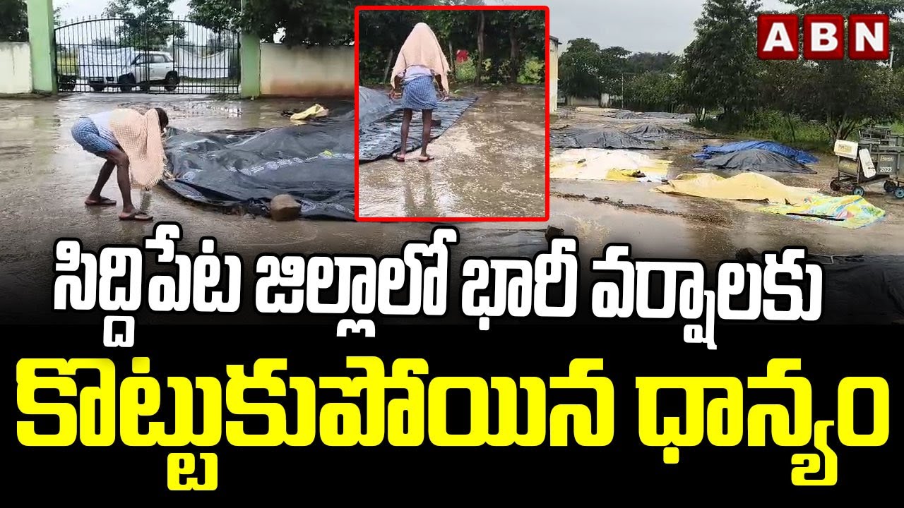 Siddipet Heavy Rains : సిద్దిపేట జిల్లాలో భారీ వర్షాలకు కొట్టుకుపోయిన ధాన్యం  || ABN
