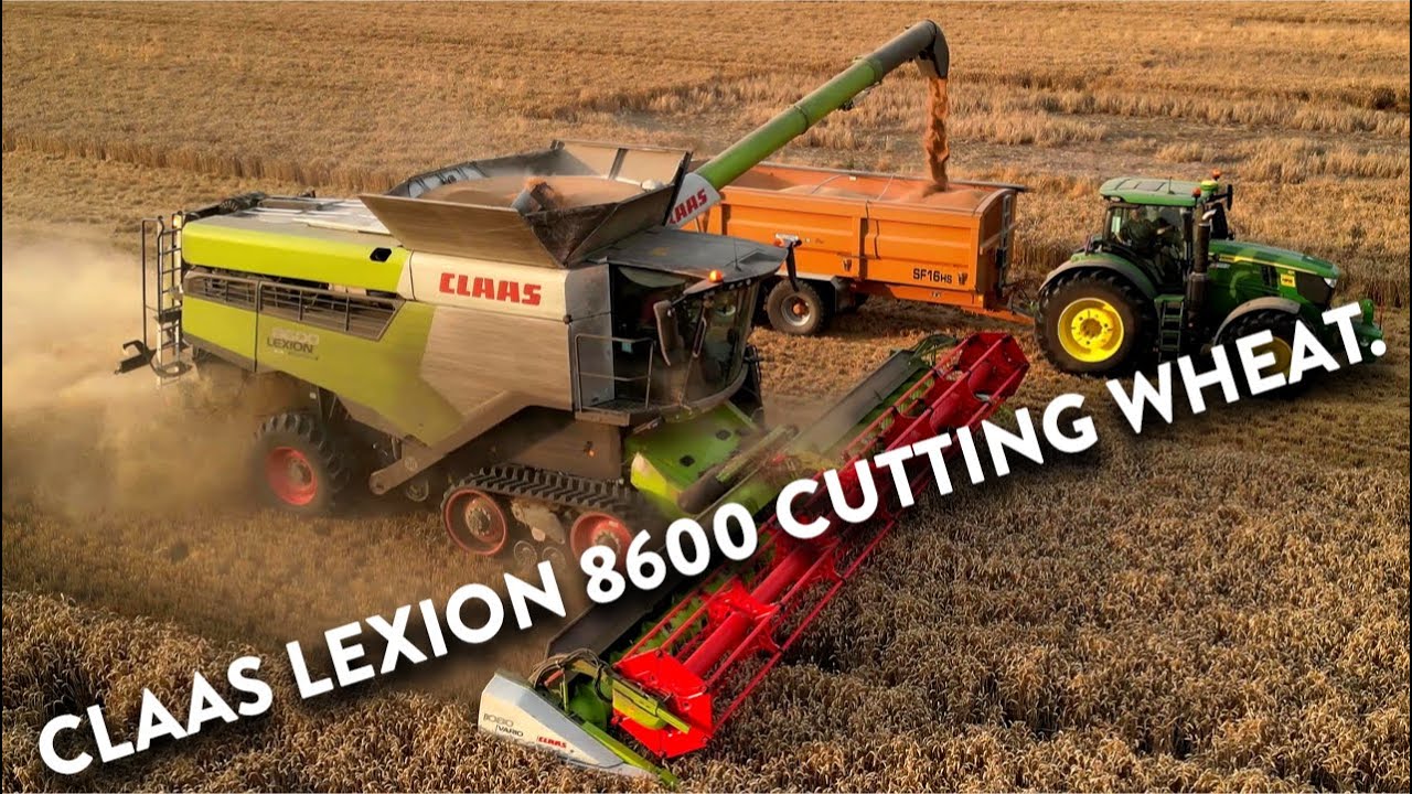 4Kᵁᴴᴰ Harvest 2024: FS Watt's Claas Lexion 8600 TT harvesting wheat in Peasenhall, Suffolk