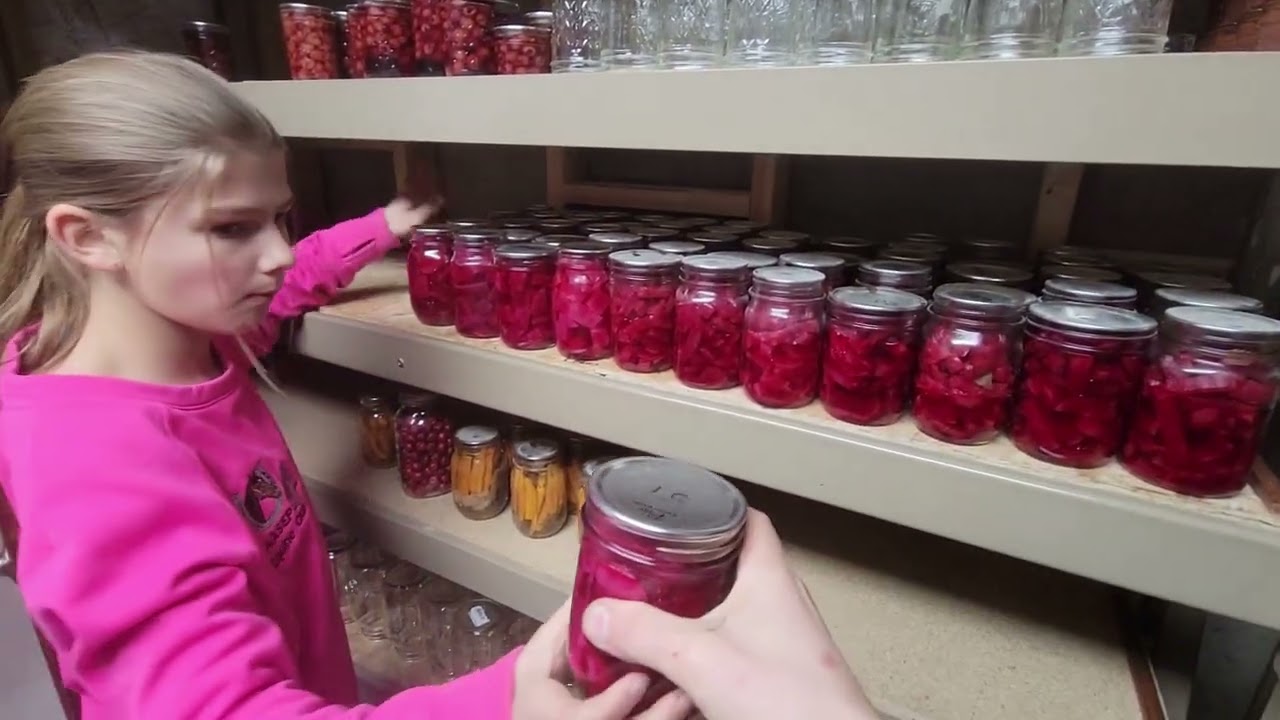 Improving our Fruit Cellar on the Farm