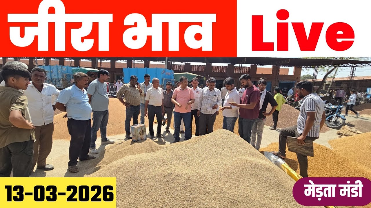 मेड़ता मंडी जीरा भाव Live | Jeera Bhav Today | Merta Mandi Bhav Online 13.03.2026
