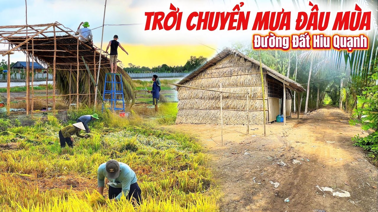 Vùng Quê Hiu Quạnh Nhà Lá Đơn Sơ, Ở Xứ U Minh Thượng Nơi Này Người Dân Sinh Sống Như Thế Nào ?