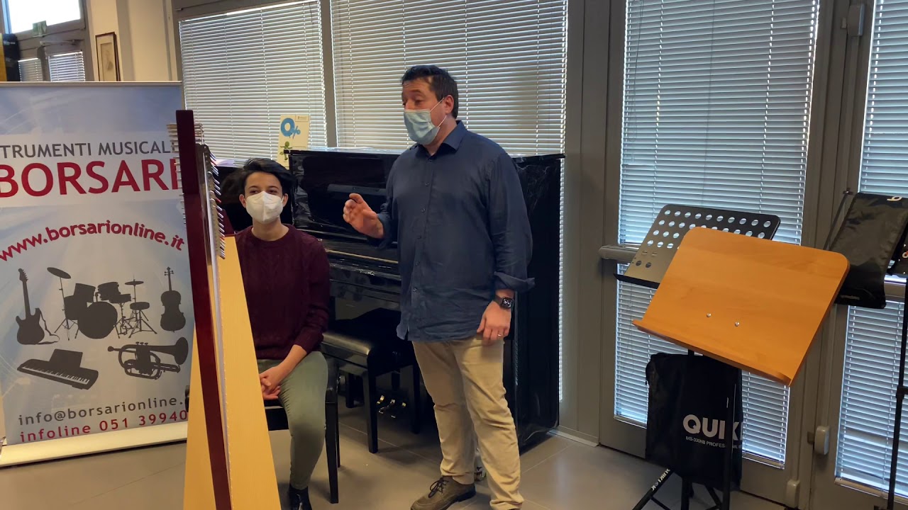 ARPA CELTICA Salvi TITAN 38 corde a cura di borsarionline.it