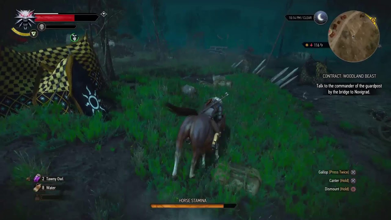 Finally! The Witcher 3 Wild Hunt Upgraded for PS5. New content from Netflix series too!