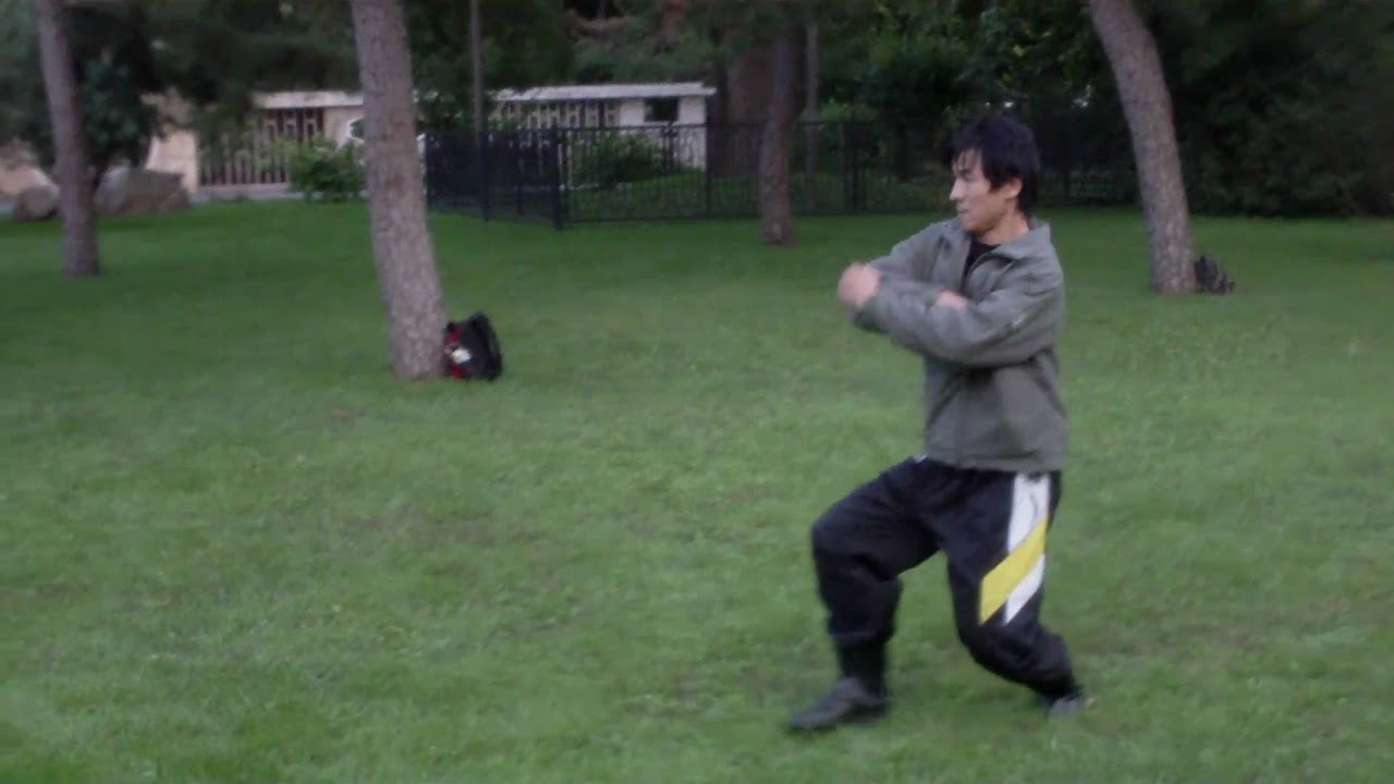 Master Han YanWu-LiuHe TangLang-Hidden Flower form - 藏花套路