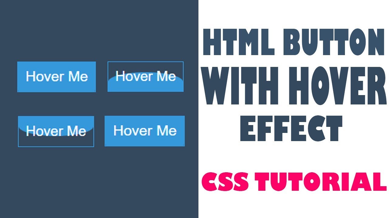 I Created AMAZING CSS Buttons With Hover Effects