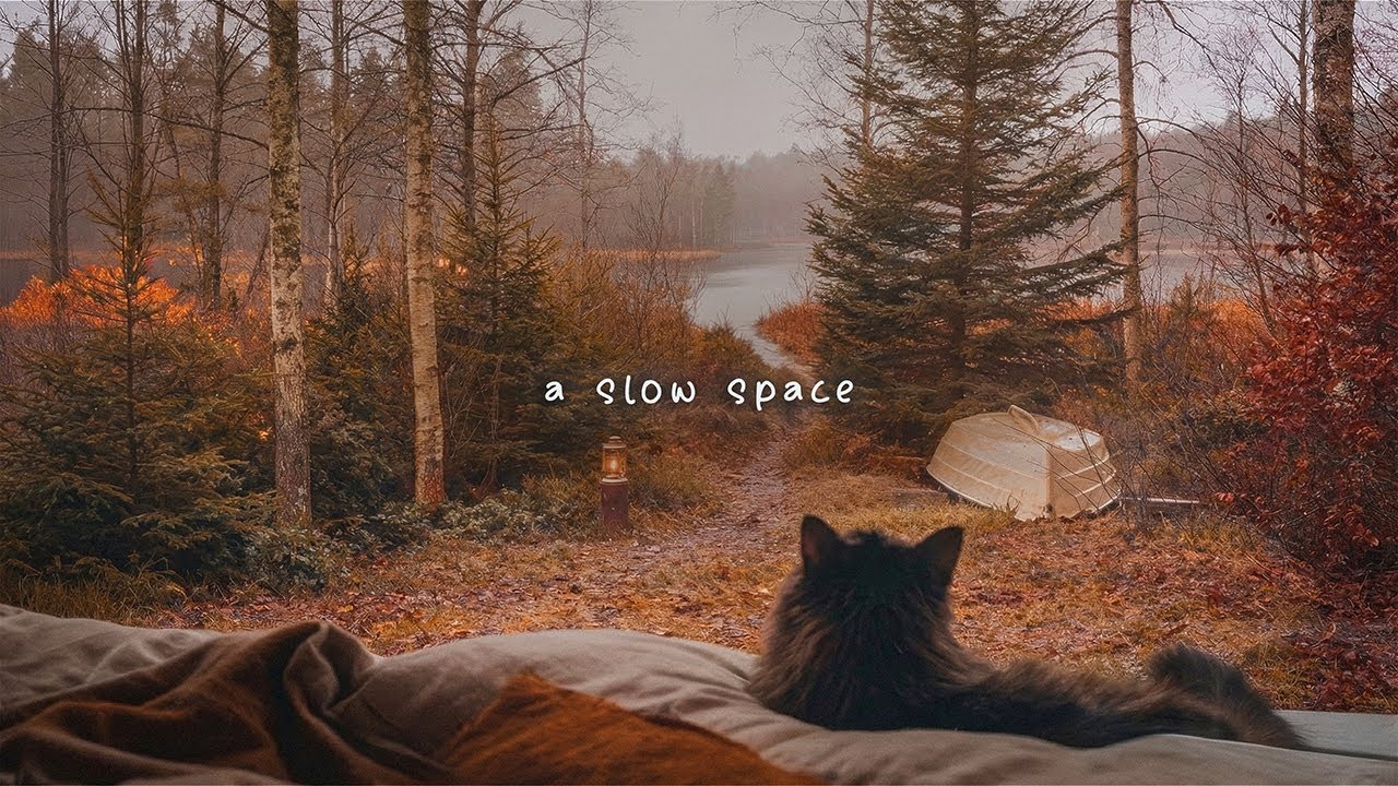 a piano playlist for quiet day (calm piano for reading, studying, or working)