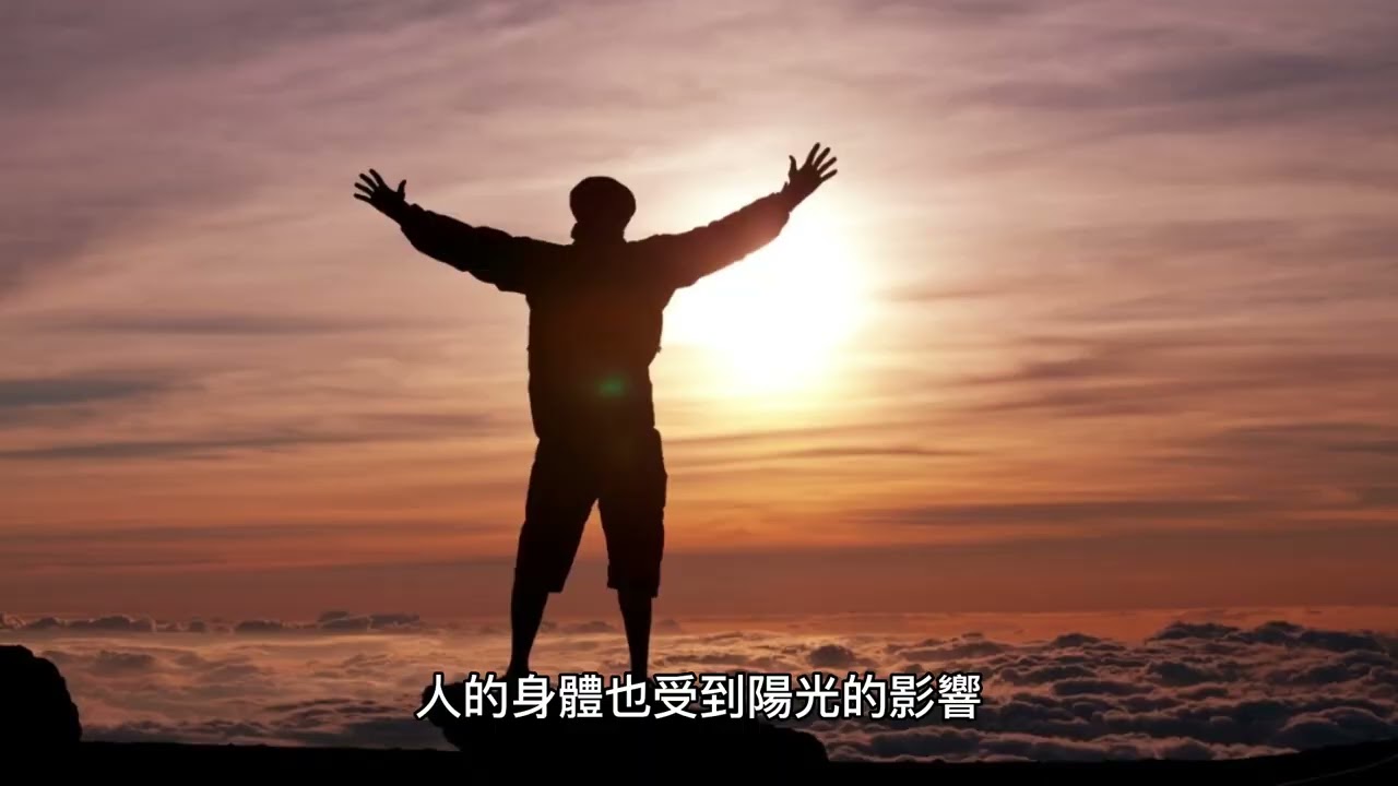 太乙金華宗旨第三章回光守中