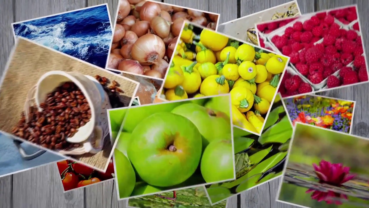 De amandel | De gezondheidsvoordelen van deze noot