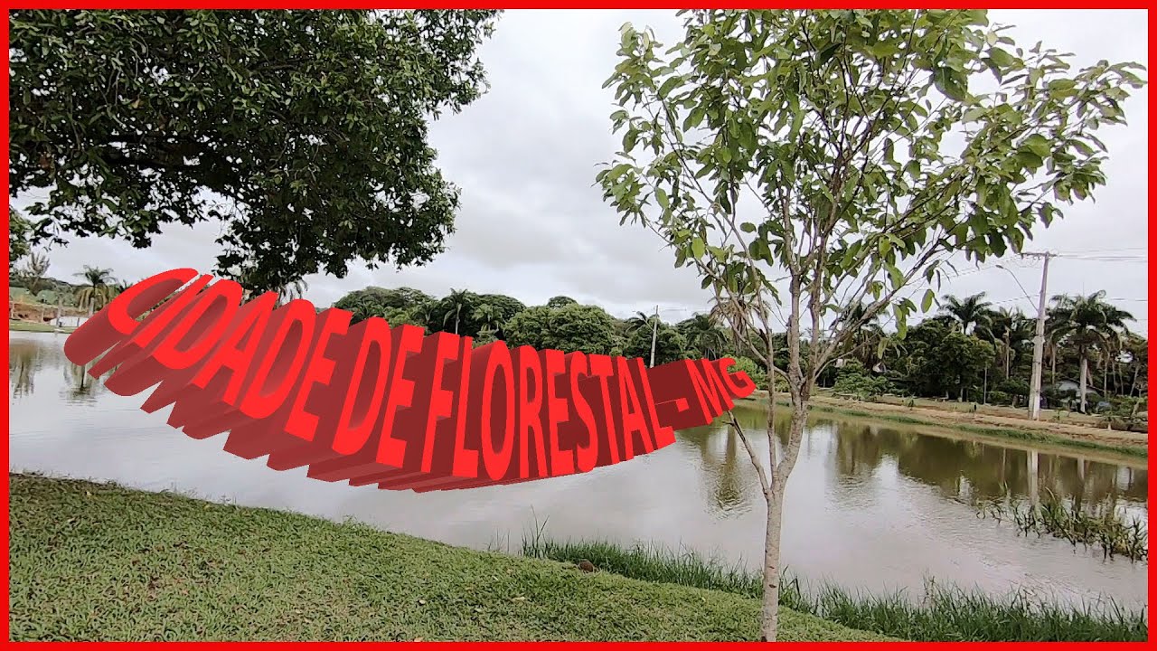 CIDADE DE FLORESTAL-MG - TADEU-PROCURANDO AVENTURA