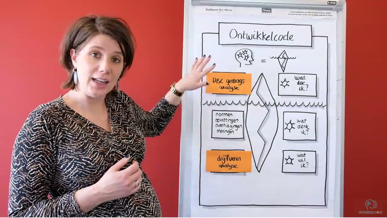Wat is het verschil tussen een DISC gedrags- en drijfverenanalyse
