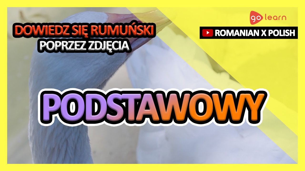 Dowiedz Się Rumuński Poprzez Zdjęcia |Słownictwo Rumuński Podstawowy | Golearn
