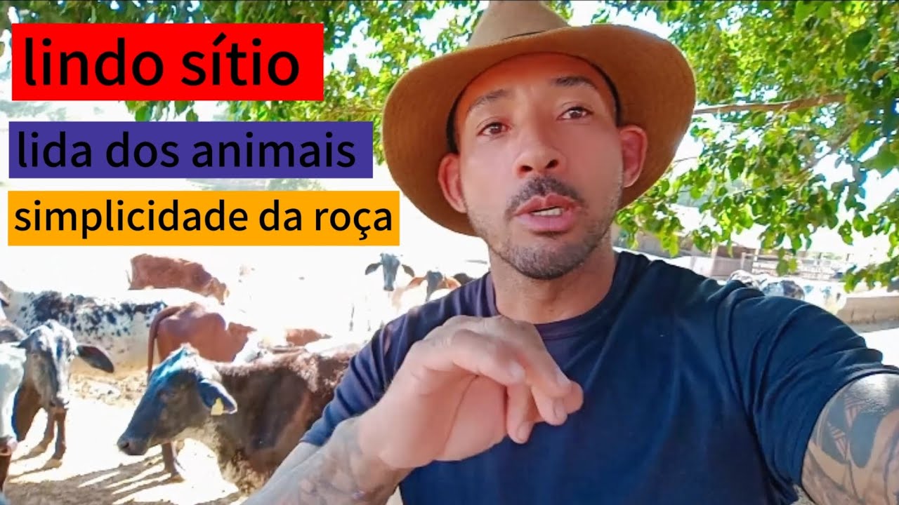 COMO É ESSE SÍTIO CHAMADO DE FAZENDA SÃO PEDRO@paunabaia