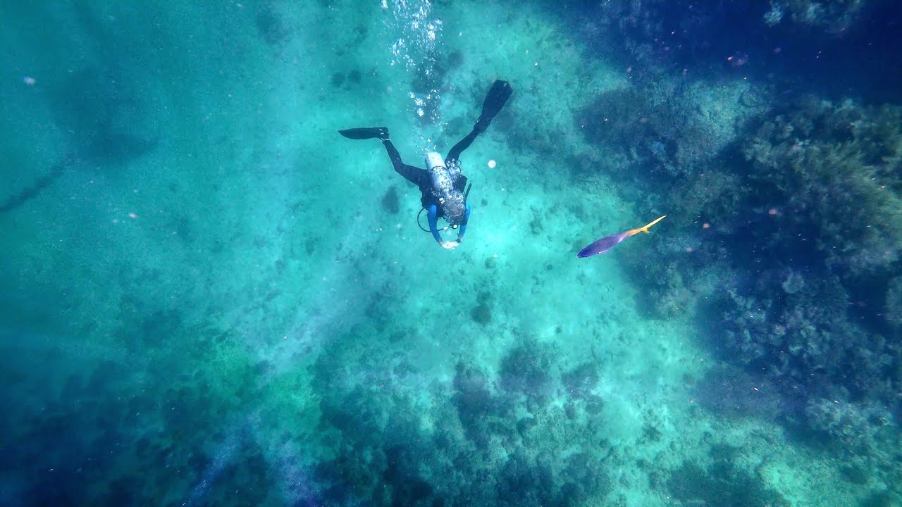 Snorkelling the Great Barrier Reef! From Cairns Marina to Reef Magic Pontoon | Full Experience 🌊🐠⛴️