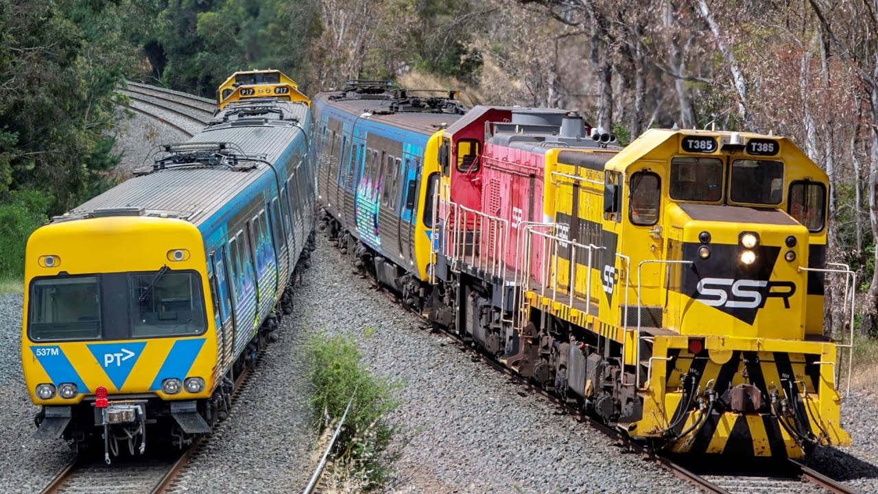 A Metro Trains Comeng on the Bendigo Line! (SSR's 9083 Comeng Transfer to Bendigo) | T385, P17
