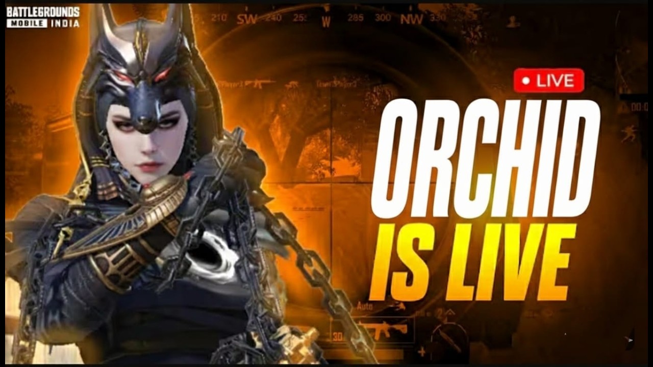 AGRESSIVE GAMEPLAY||ORCHIDISLIVE IS BACK || BGMI LIVE || TEAM CODE ||  #short #bgmilive #pubgmobile
