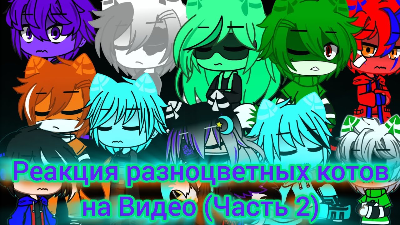 🧡💚💜Реакция Разноцветных Котов на Видео про Них (часть 2)🩵🤍❤️ #бискастащитосень #бискас #реакция