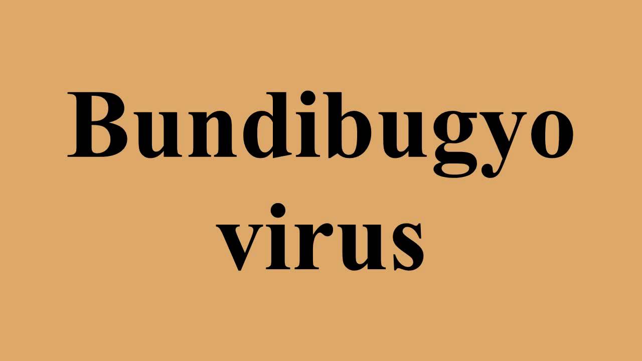 Bundibugyo virus
