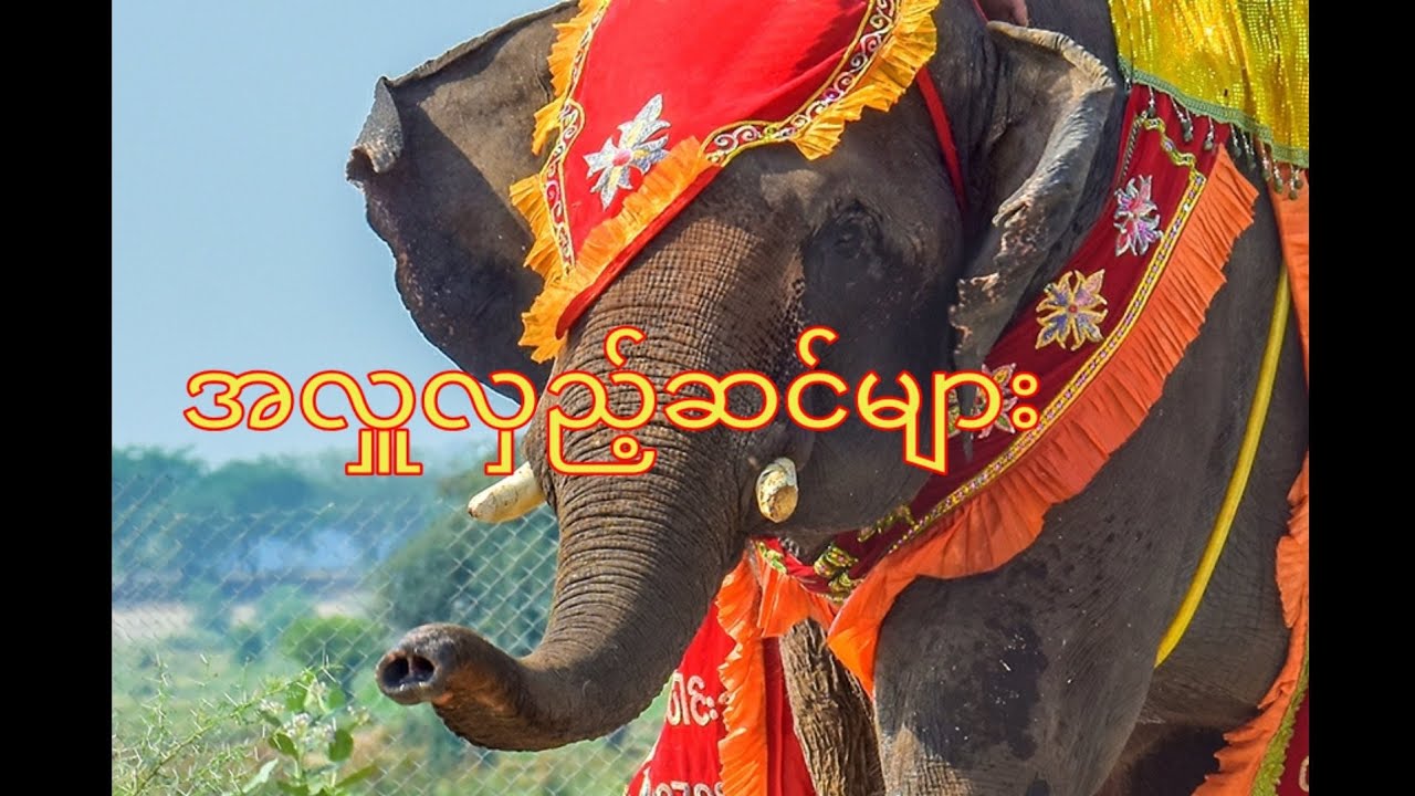How to ဆင် များ အလှူလှည့်ဆင်များ