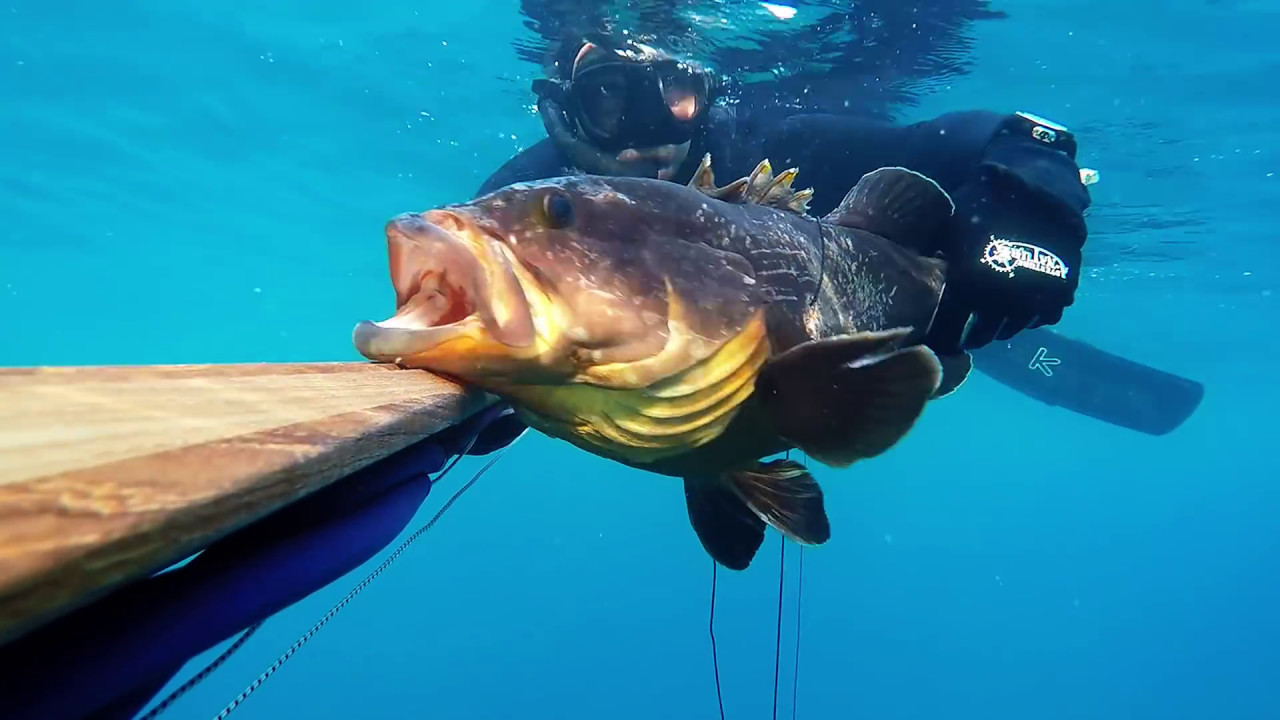 spearfishing in israel part - 6    maxim gvili