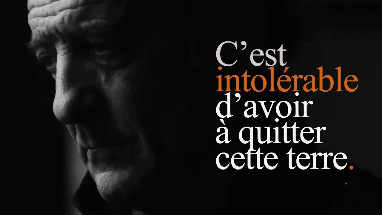 VINCENT LINDON x ALAIN SOUCHON x VINCENT DELERM : un mashup sur la vie