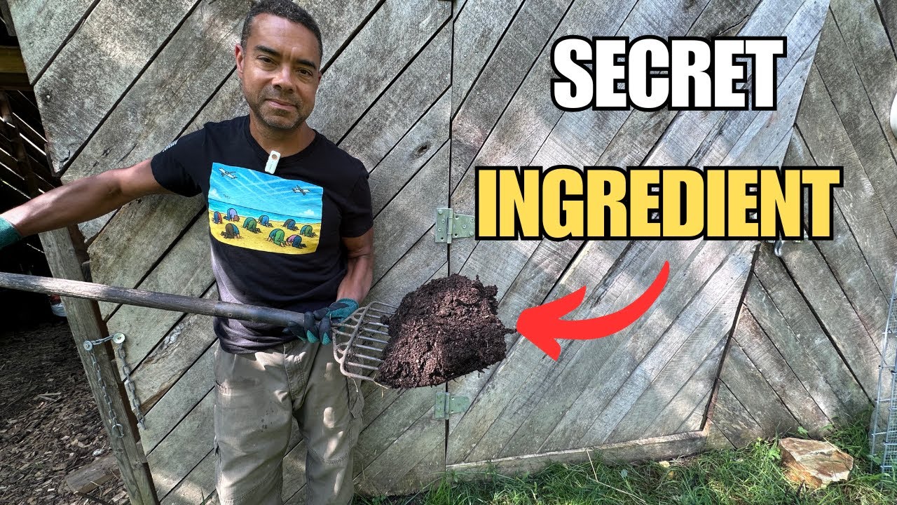 How We Keep Our Compost Thriving (and the Secret Ingredient We've Never Shared!)