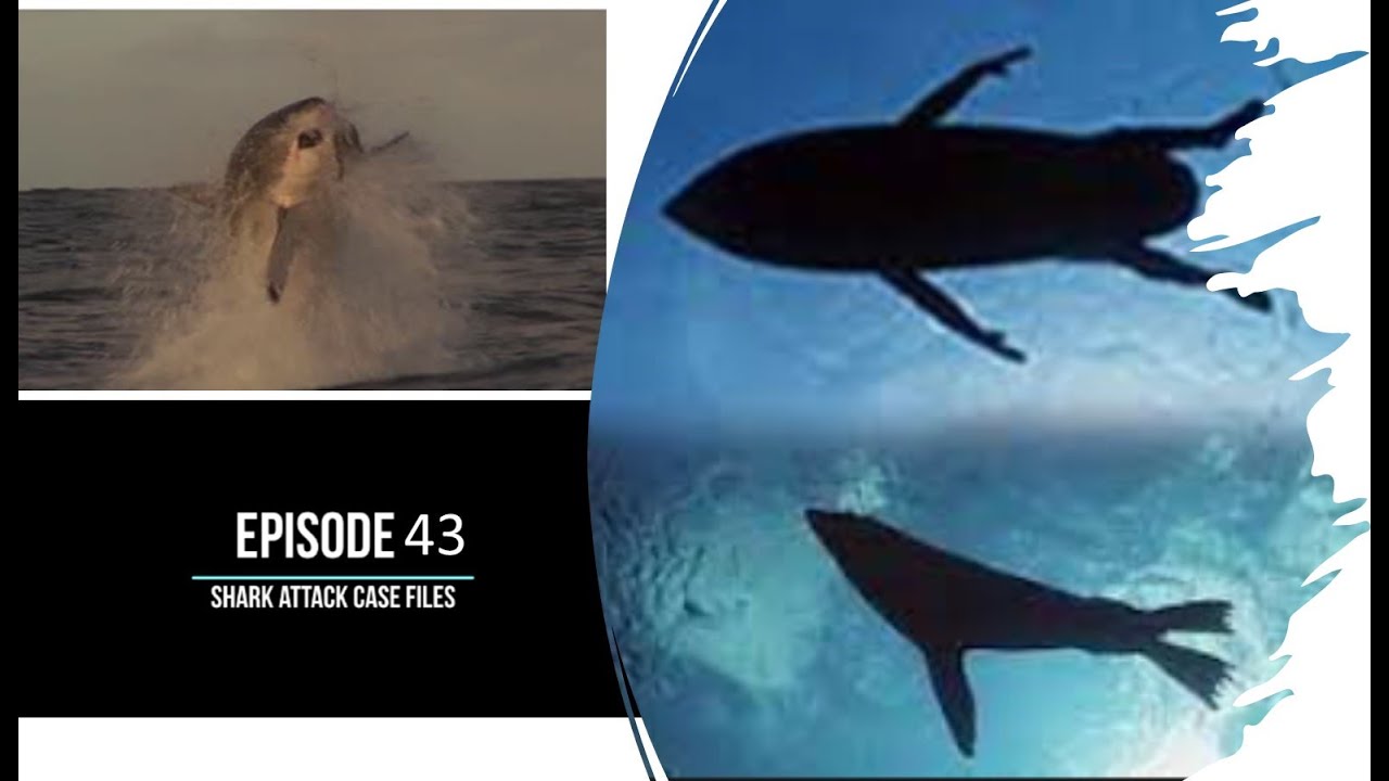Episode 43  - Shark Attack Case Files - Fatality near Perth