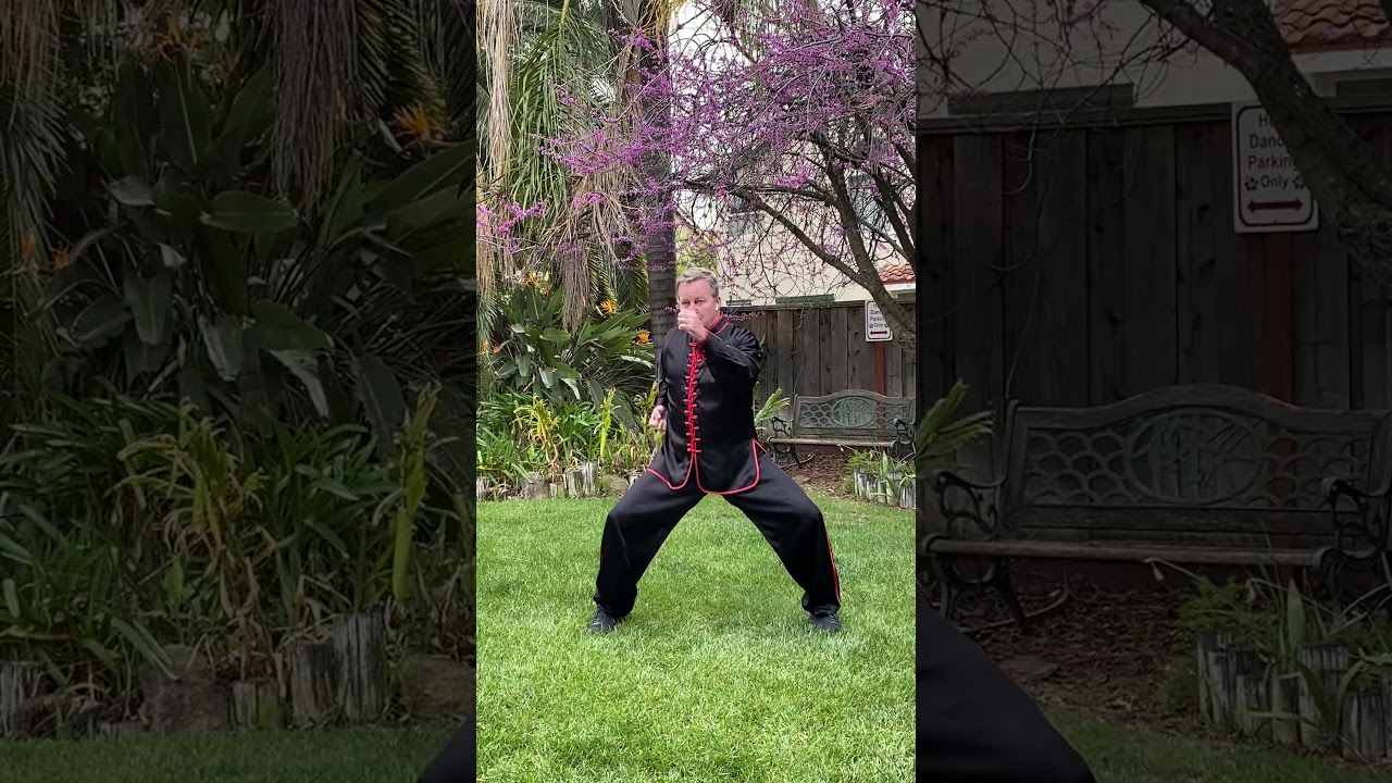8 Jewel Exercises with Tai Sifu Hubbard