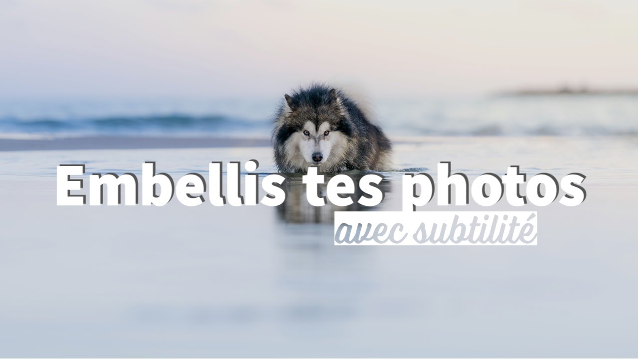Retoucher un portrait par séparation de fréquence sur Photoshop