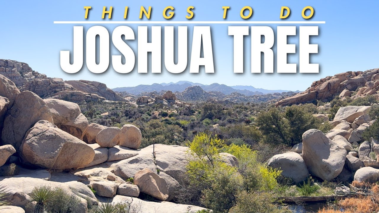 A Great BNB Walkthrough, Hiking, & Things To Do Around Joshua Tree National Park