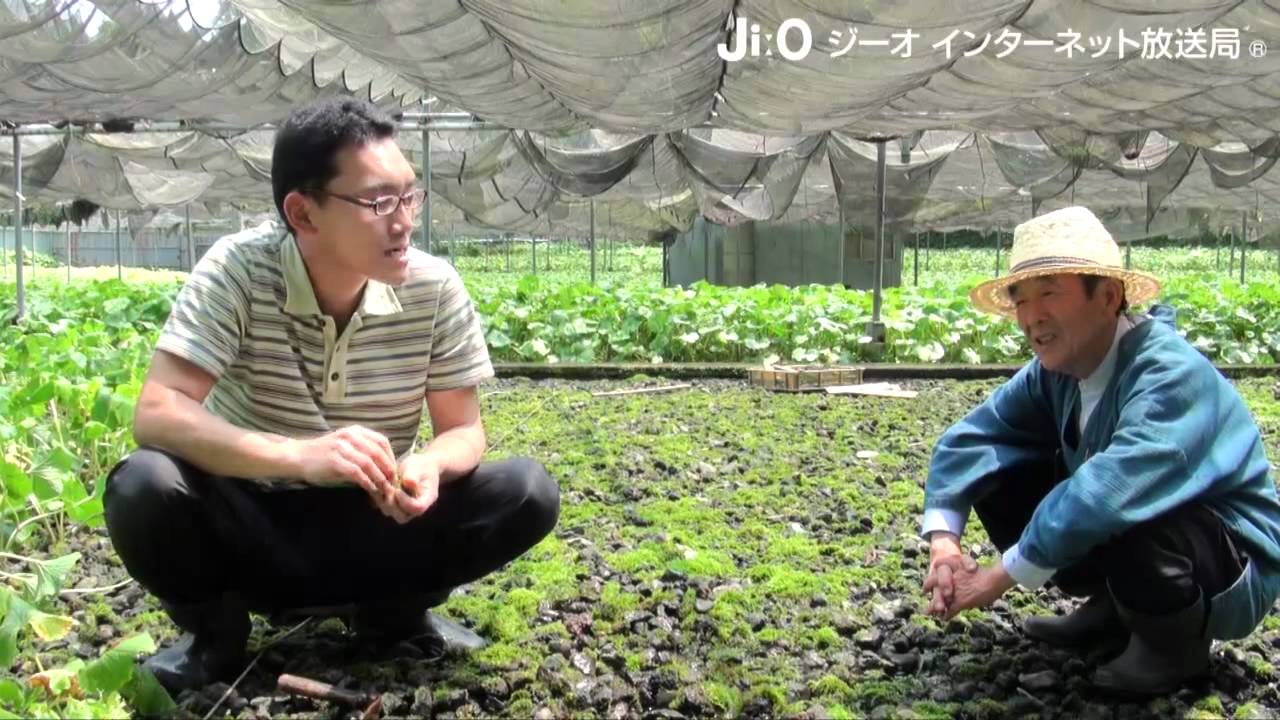 種とり人「第17回 北村わさび  北村宜弘さん 北村政之さん」前編